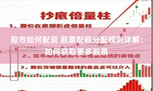 股市如何配资 股票配股分配规则详解：如何获取更多股票