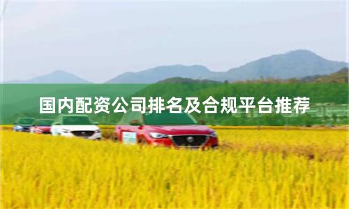 国内配资公司排名及合规平台推荐